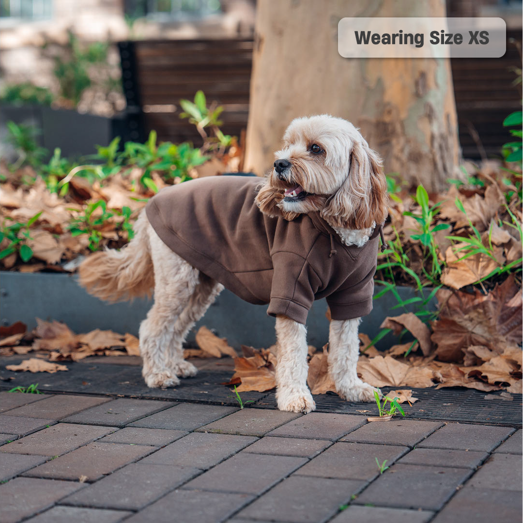 Winterhundehoodies - Braun
