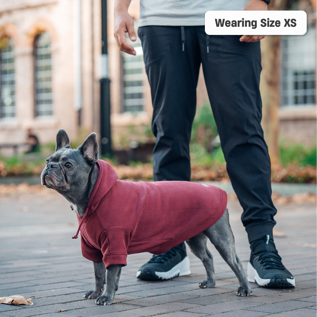 Winter Dog Hoodies - Bordeaux