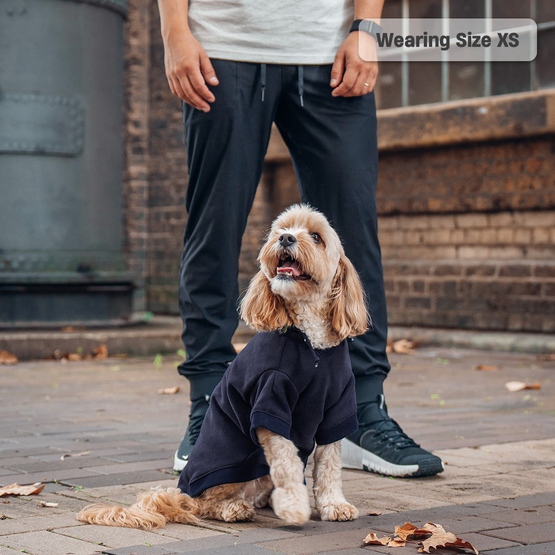 Winter Dog Hoodies - Marineblau