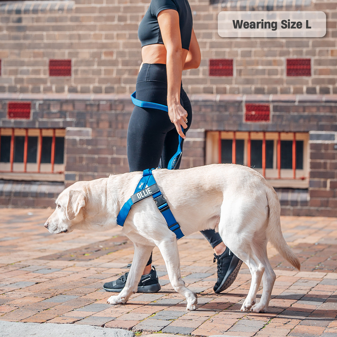 Signature Kit - Klassisches Blau