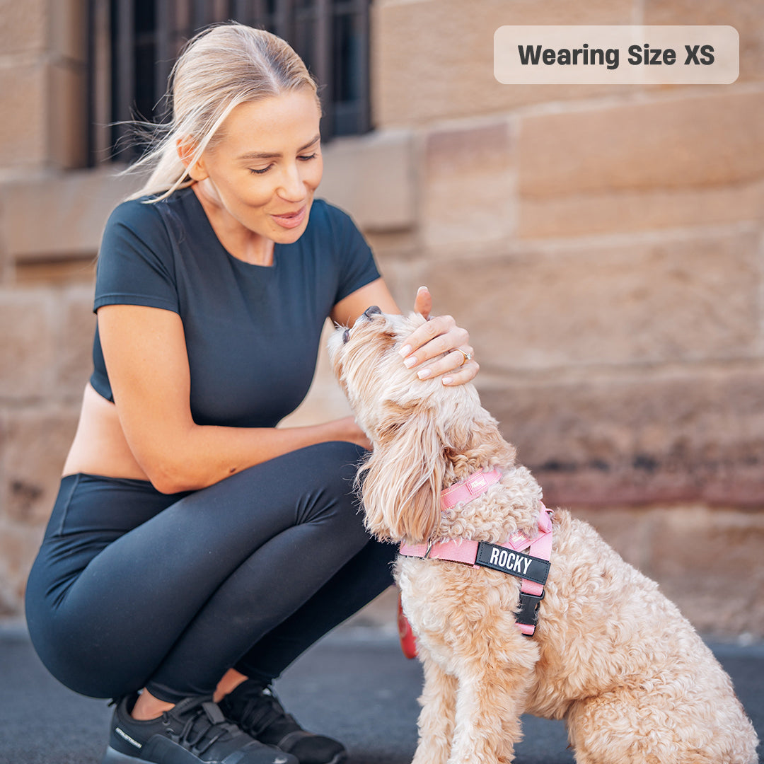 Signature Kit - Rosa