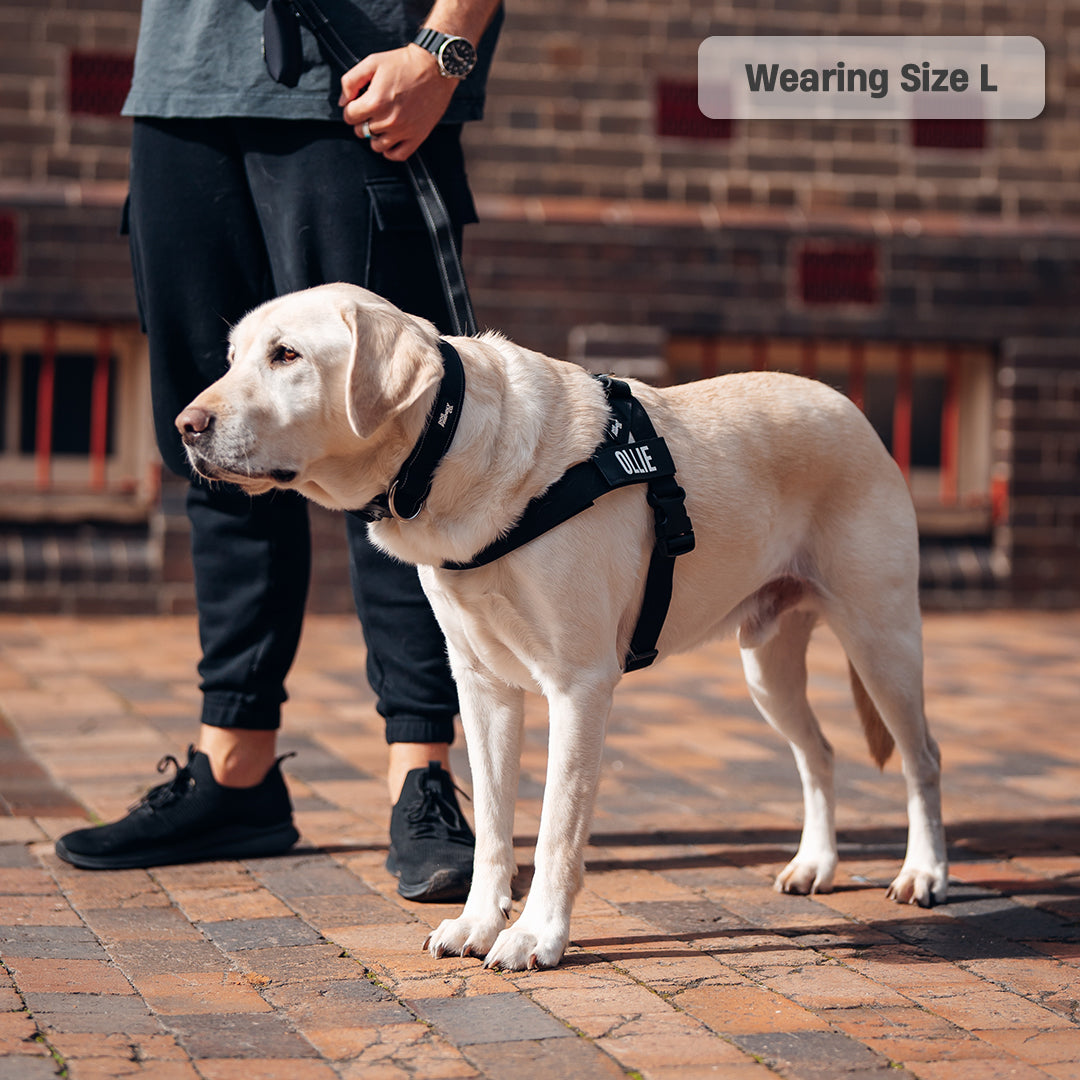 Signature Kit - Schwarz