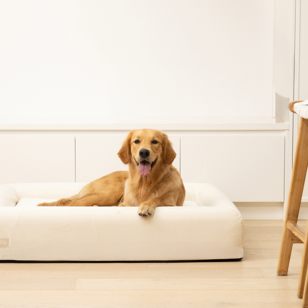 Sleep Set - Beige