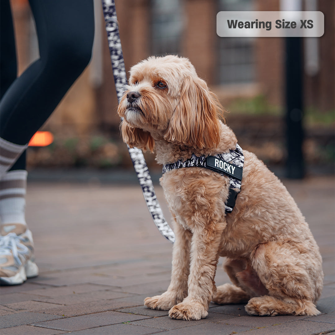 Signature Kit - Grauer Tarnmuster