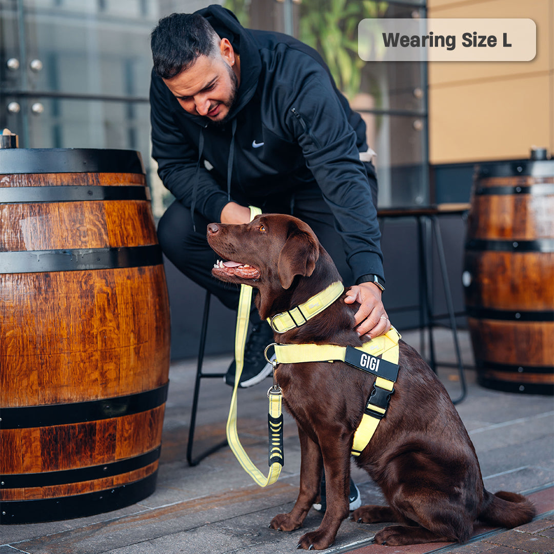 Signature Kit - Gelb