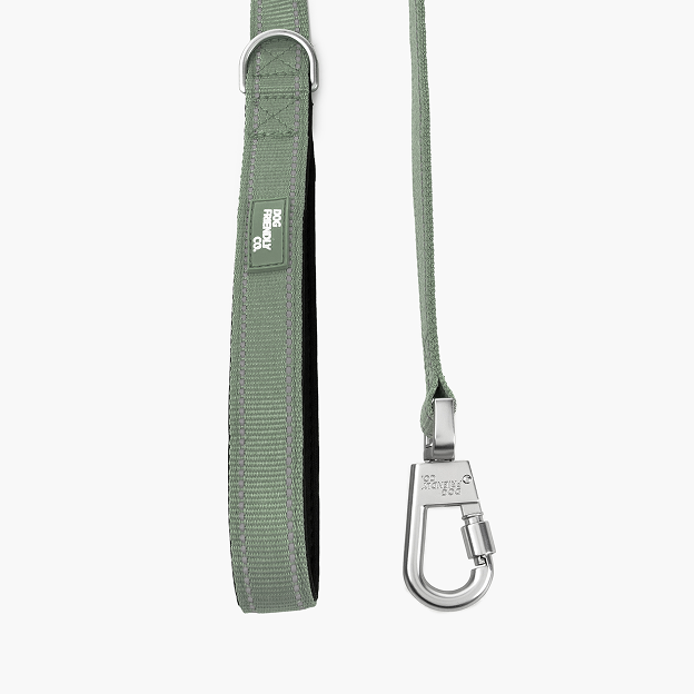 Kurze Trainingshundeleine - Khaki