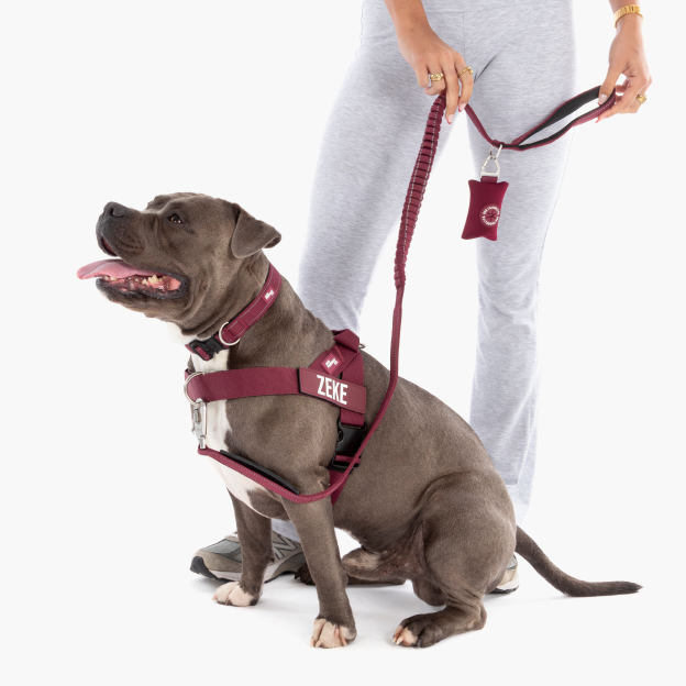 Walk Essentials - Burgunderrot