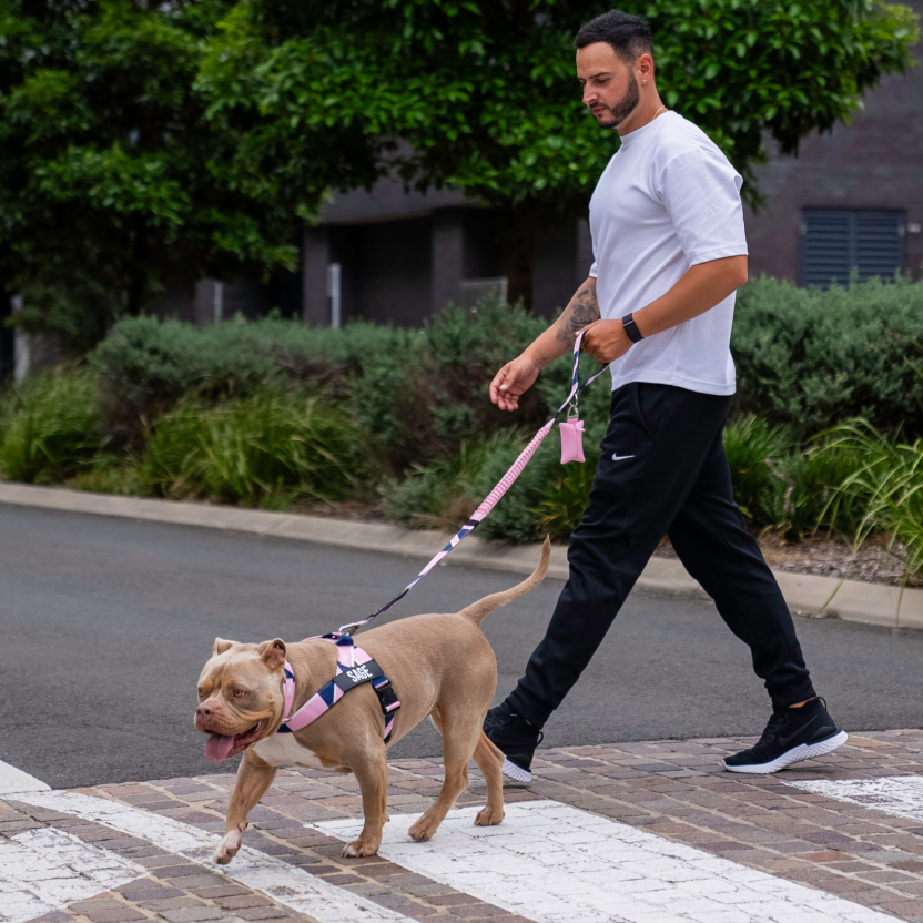 Taktisches Hundehalsband - Limitierte Auflage Pink