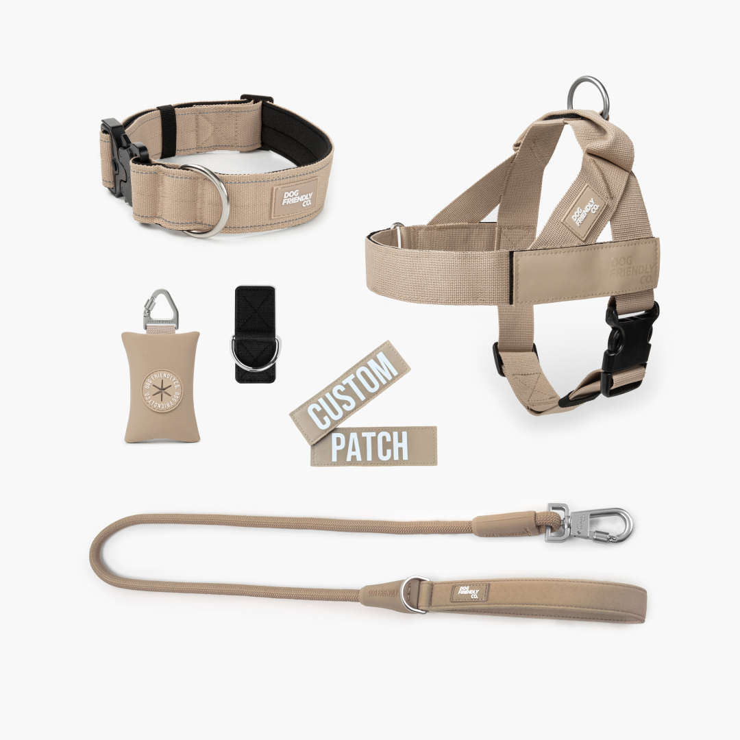 Walk Essentials - Braun