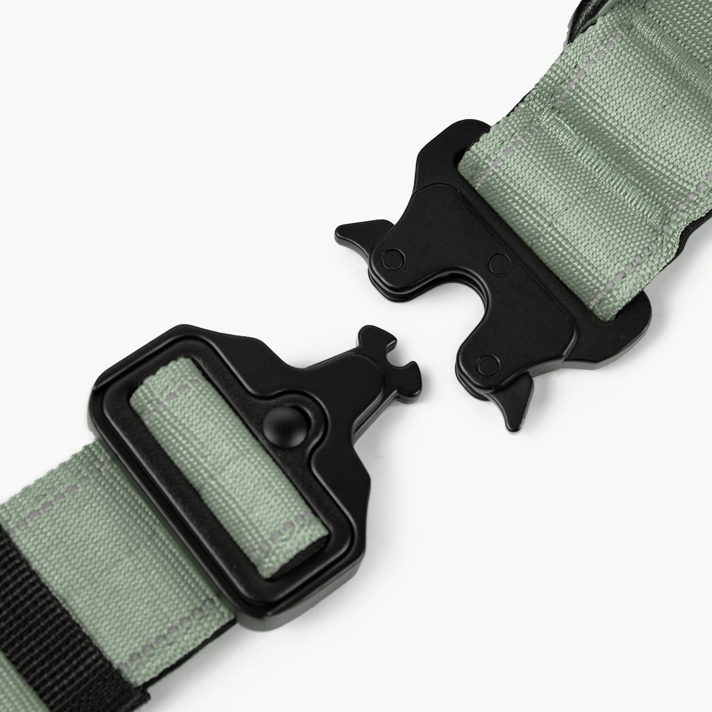 Taktisches Hundehalsband - Khaki