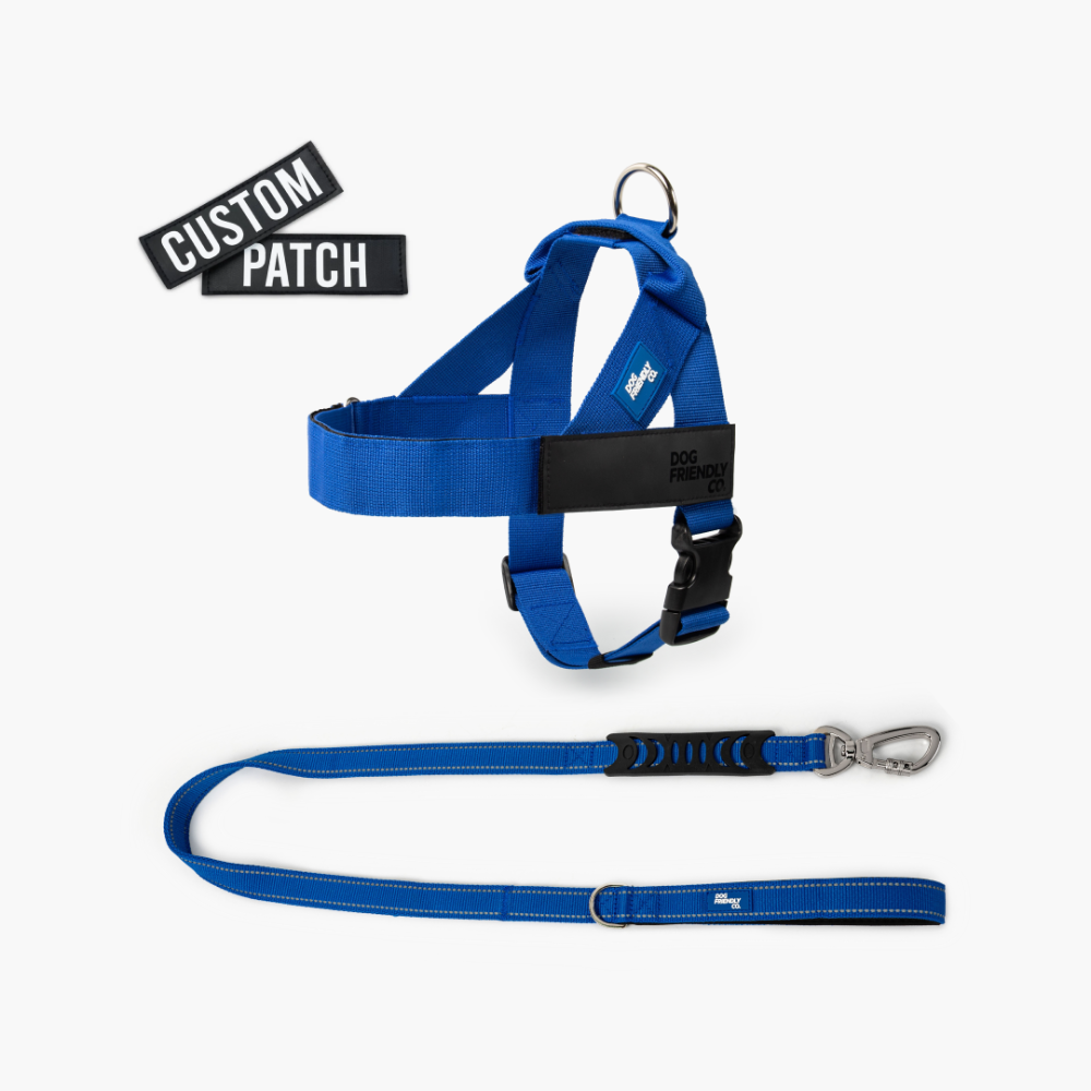 Signature Kit - Klassisches Blau