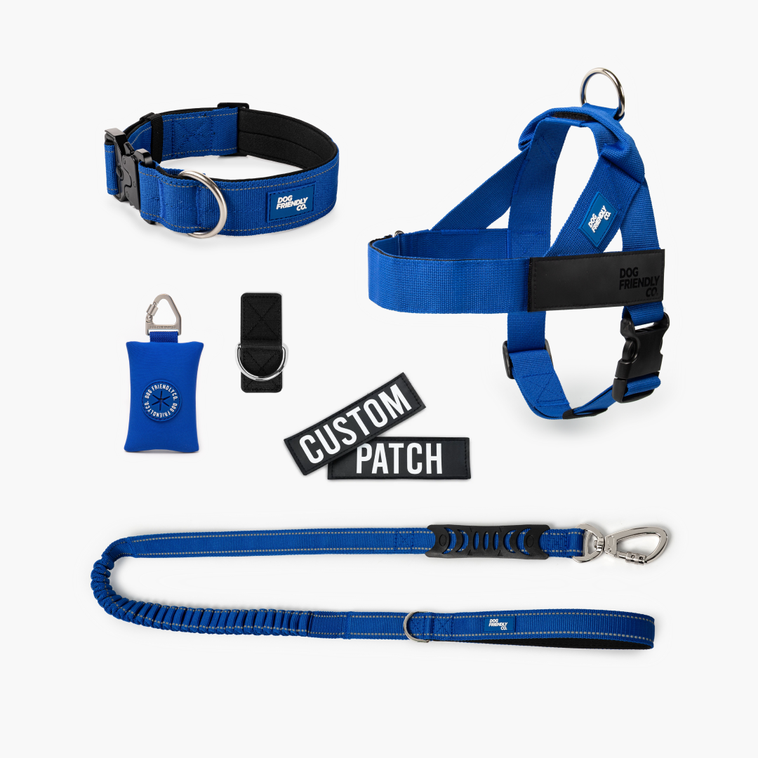 <h2>Spaziergangsbedarf</h2>