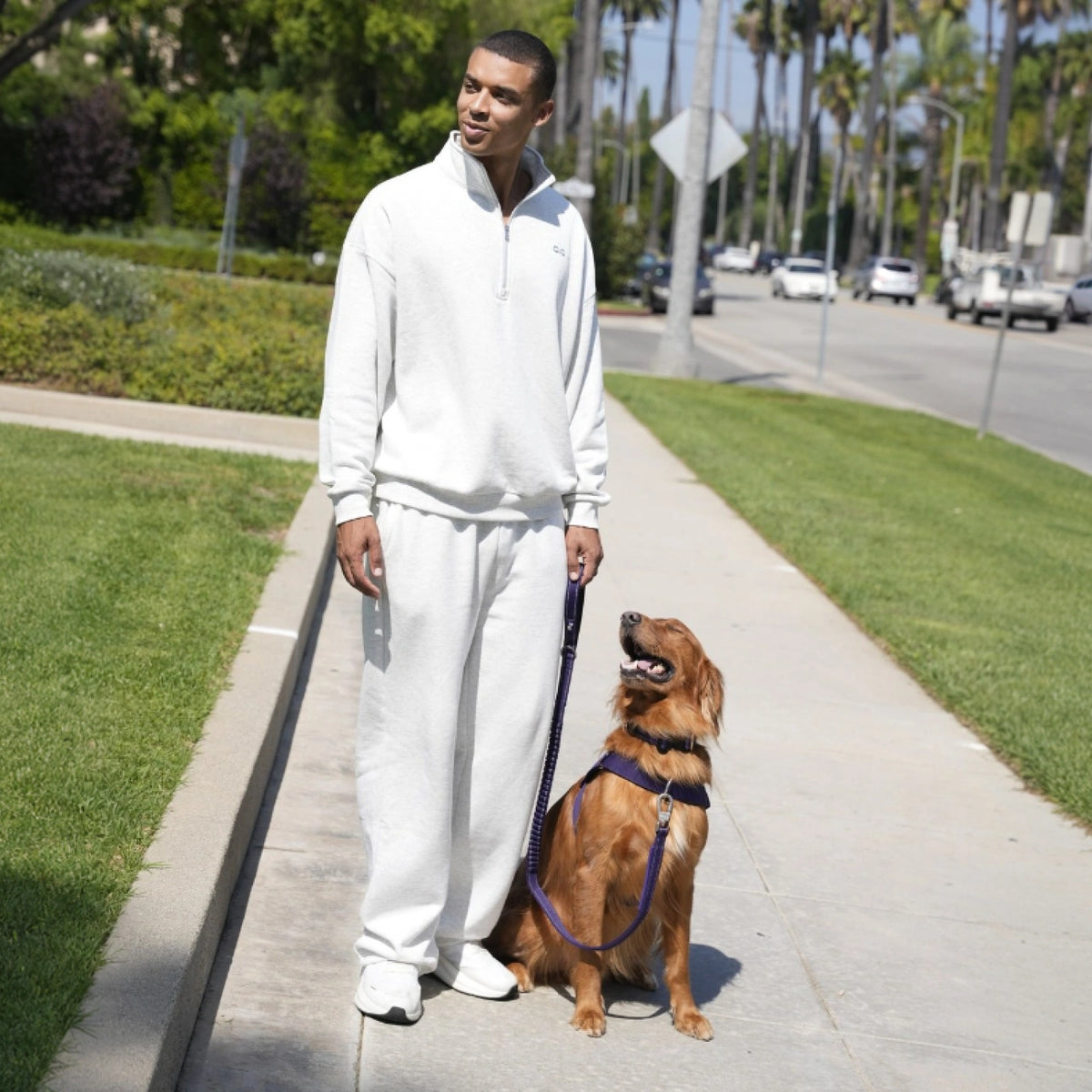 Man standing on a sidewalk with a golden retriever in the Indigo harness