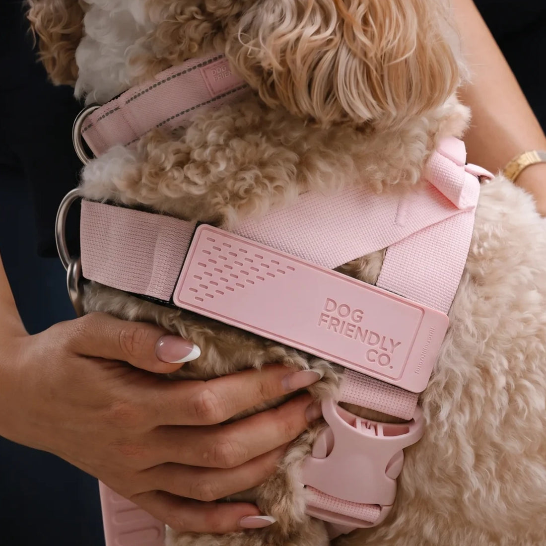 Close-up of the Sakura harness, with its colour-matched buckle