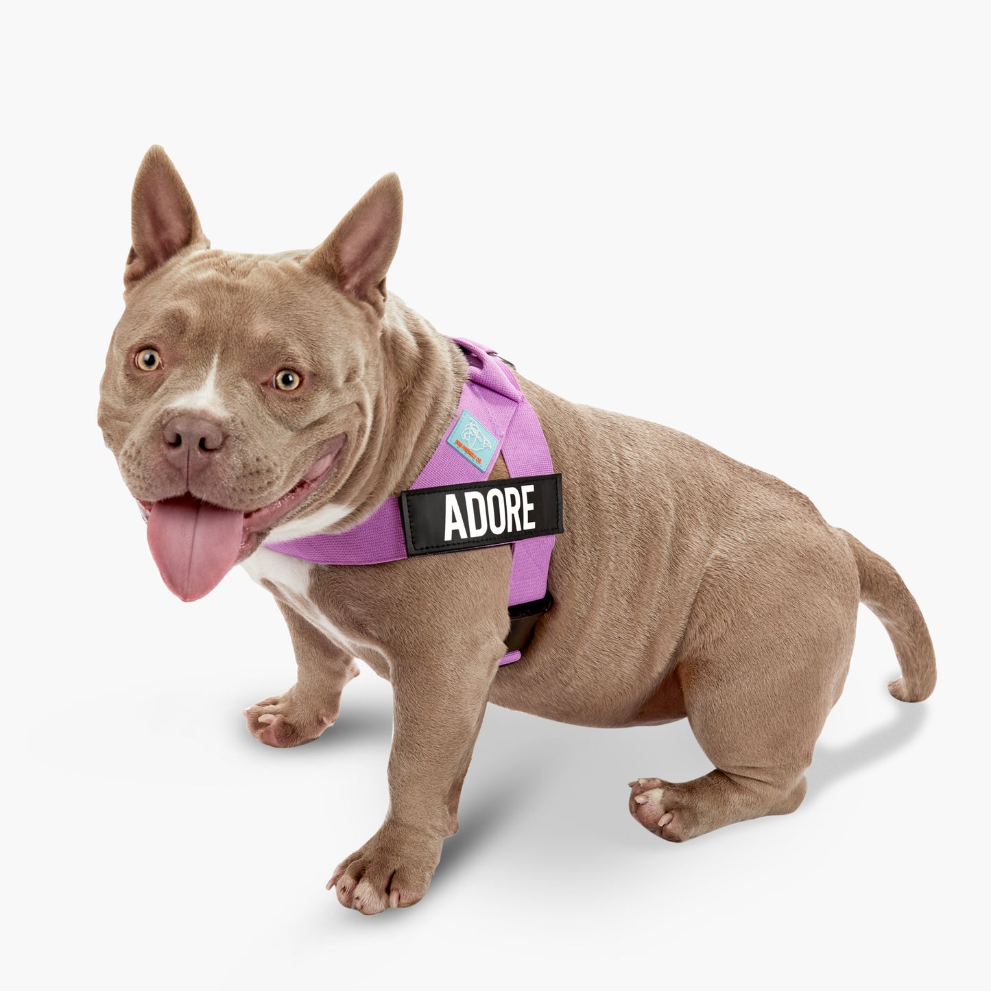 <h2>Spaziergangsbedarf</h2>