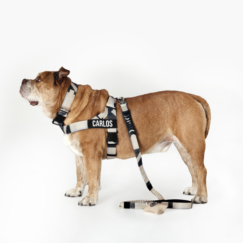 Taktisches Hundehalsband - Limitierte Auflage Beige