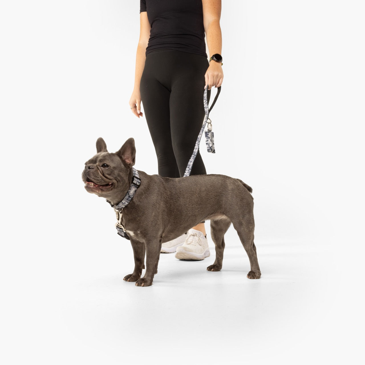 Taktisches Hundehalsband - Grauer Tarnmuster