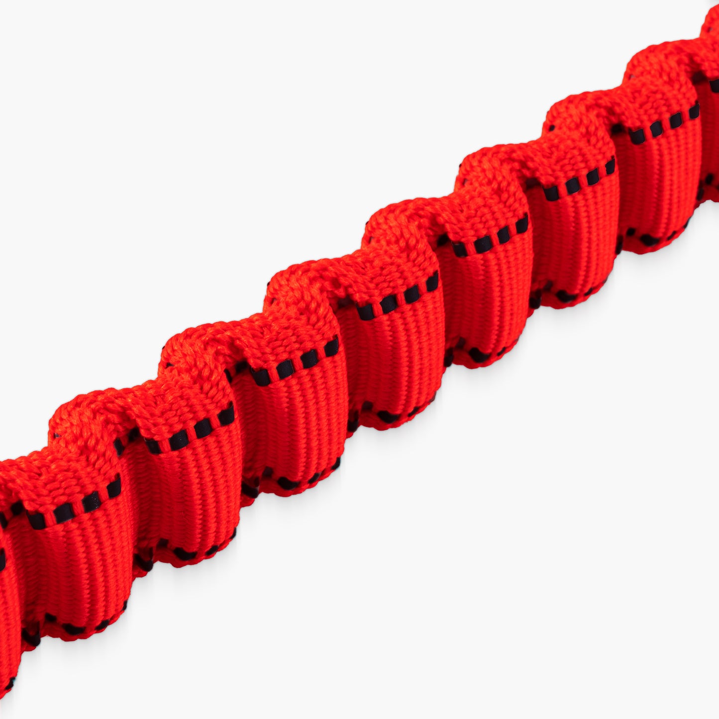 Bungee Dog Leash - Red