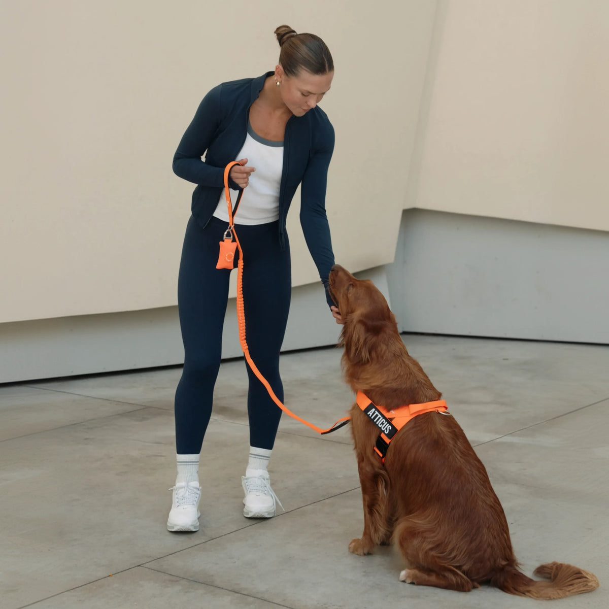 Bungee Hundeleine - Hi-Vis Orange