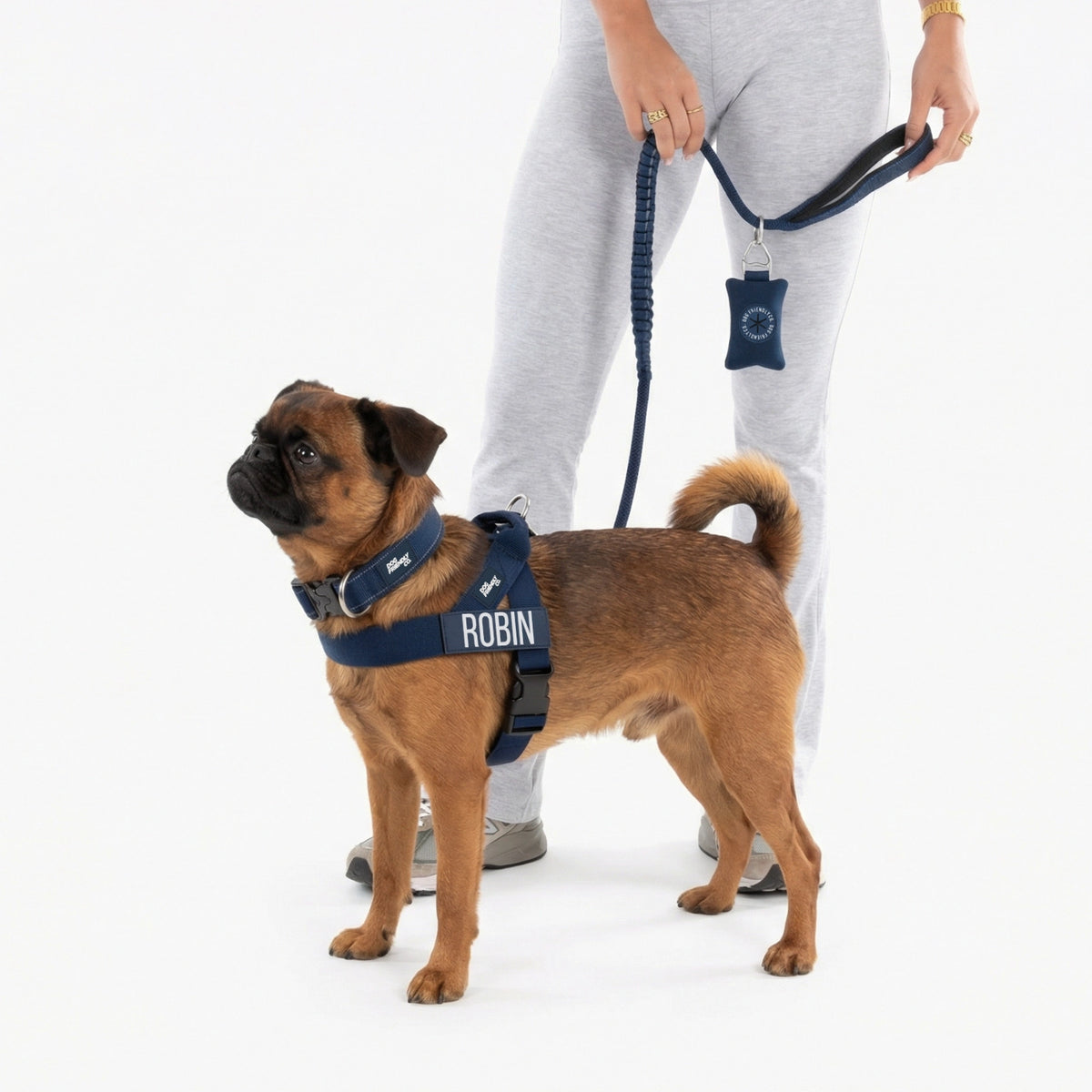 Bungee Dog Leash - Navy Blue