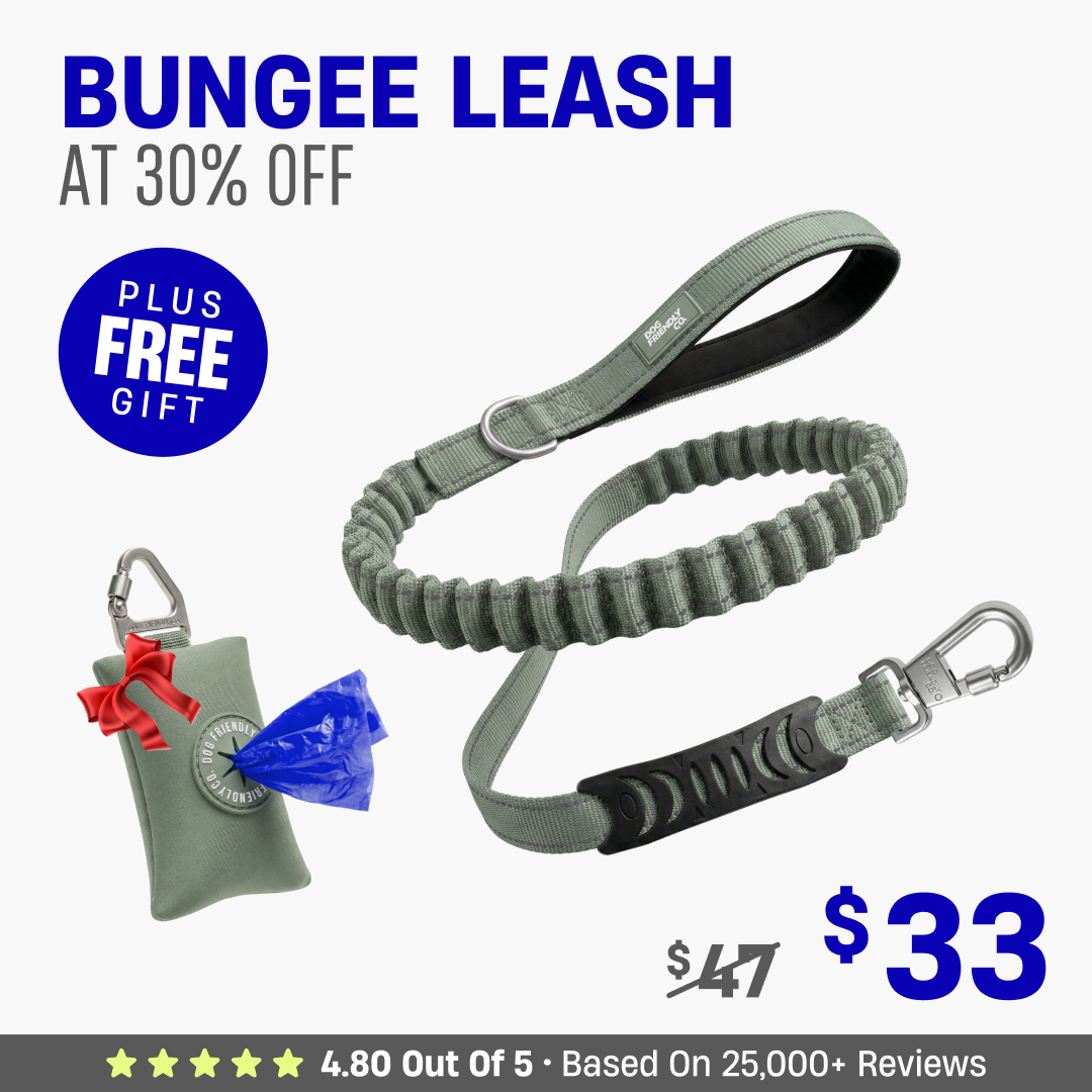 Get Leash at 30% OFF + FREE Poop Bag Holder