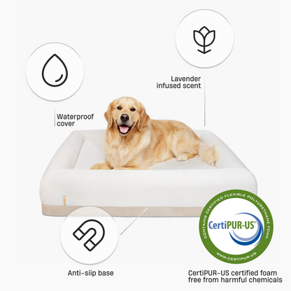 Premium Orthopädisches Memory-Schaum Hundebett - Champagner (Groß)