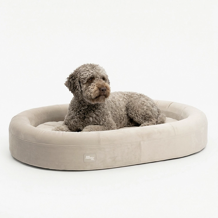 Chill Pill Memory Foam Hundebett - Beige (Klein)