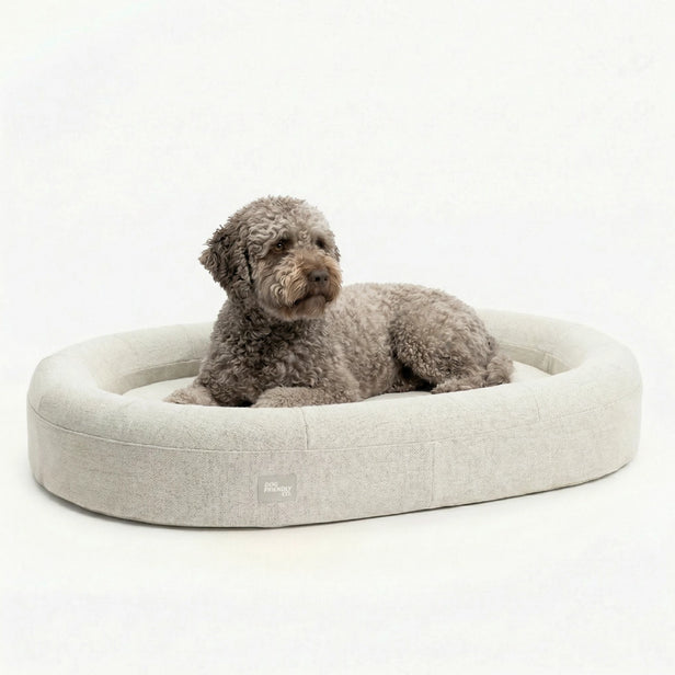 Chill Pill Memory Foam Hundebett - Beige (Klein)