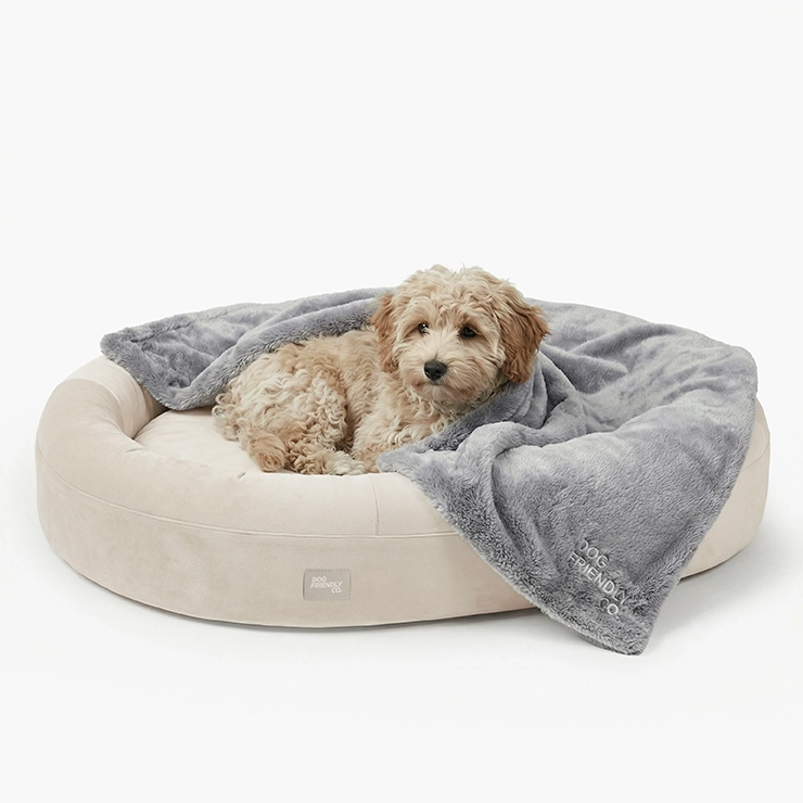 Chill Pill Memory Foam Hundebett - Beige (Klein)