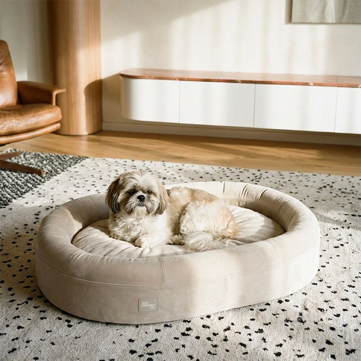 Chill Pill Memory Foam Hundebett - Beige (Klein)