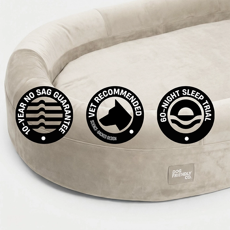 Chill Pill Memory Foam Hundebett - Beige (Klein)