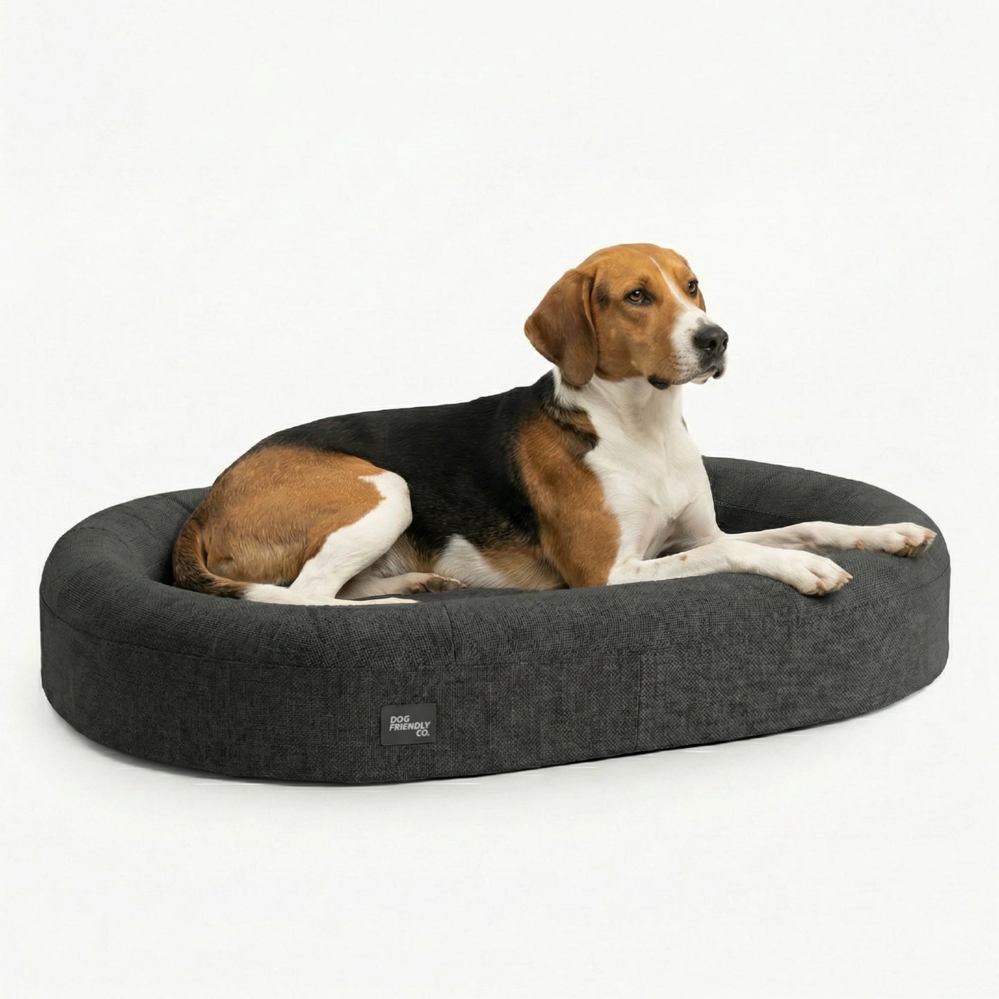 Chill Pill Memory Foam Hundebett - Anthrazit (Groß)
