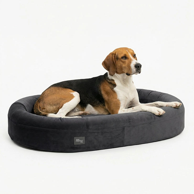 Chill Pill Memory Foam Hundebett - Anthrazit (Klein)