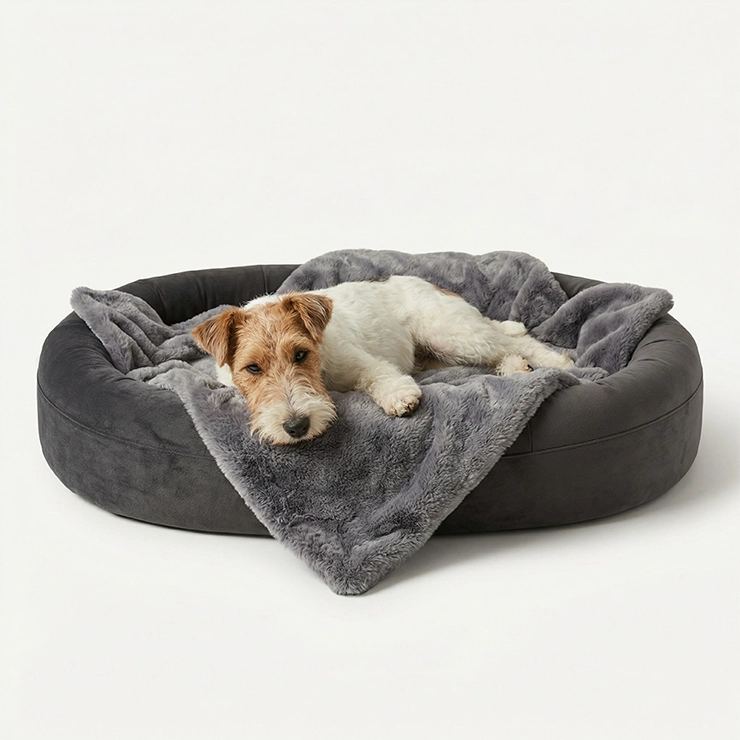 Chill Pill Memory Foam Hundebett - Anthrazit (Klein)