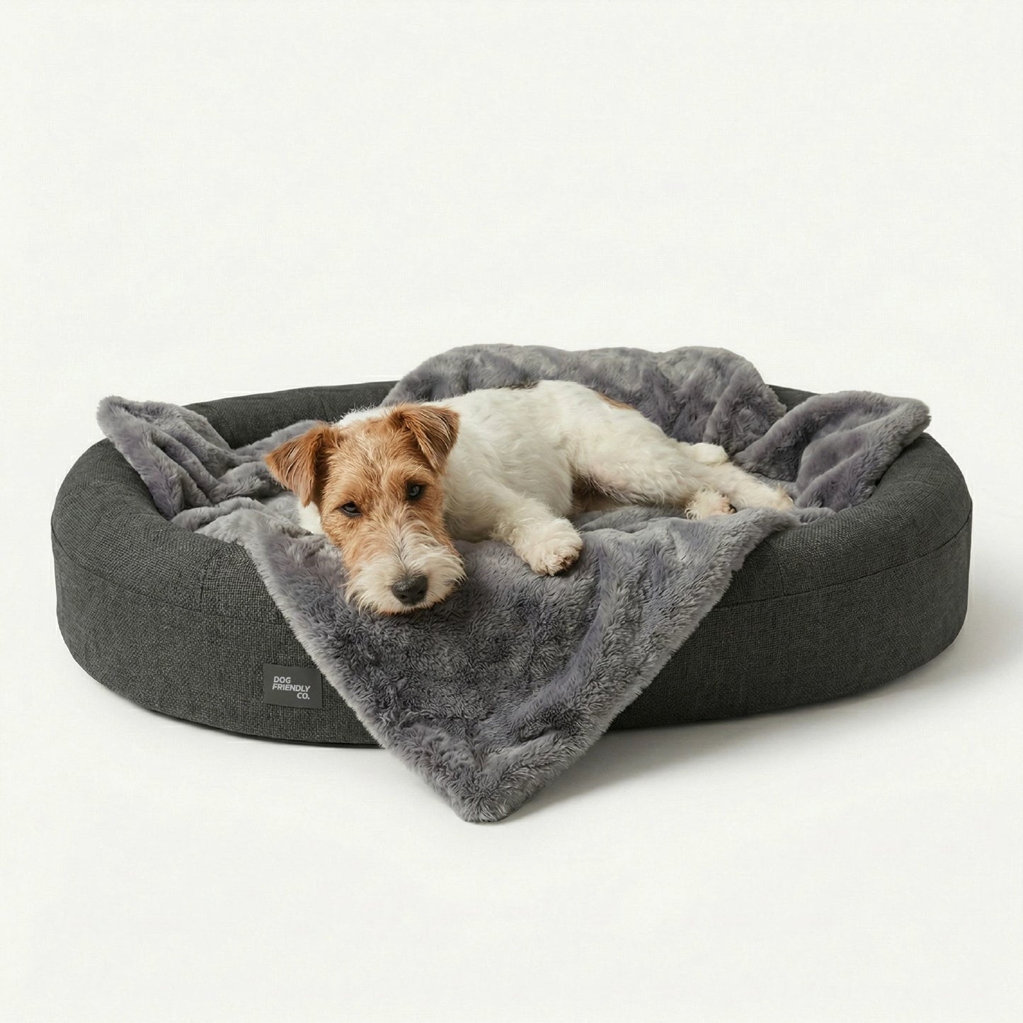 Chill Pill Memory Foam Hundebett - Anthrazit (Klein)