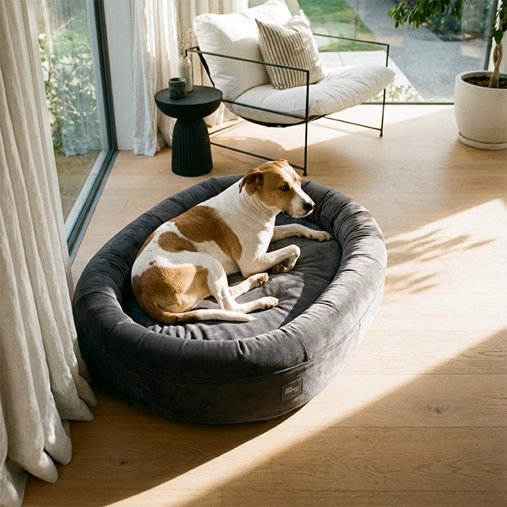 Chill Pill Memory Foam Hundebett - Anthrazit (Klein)