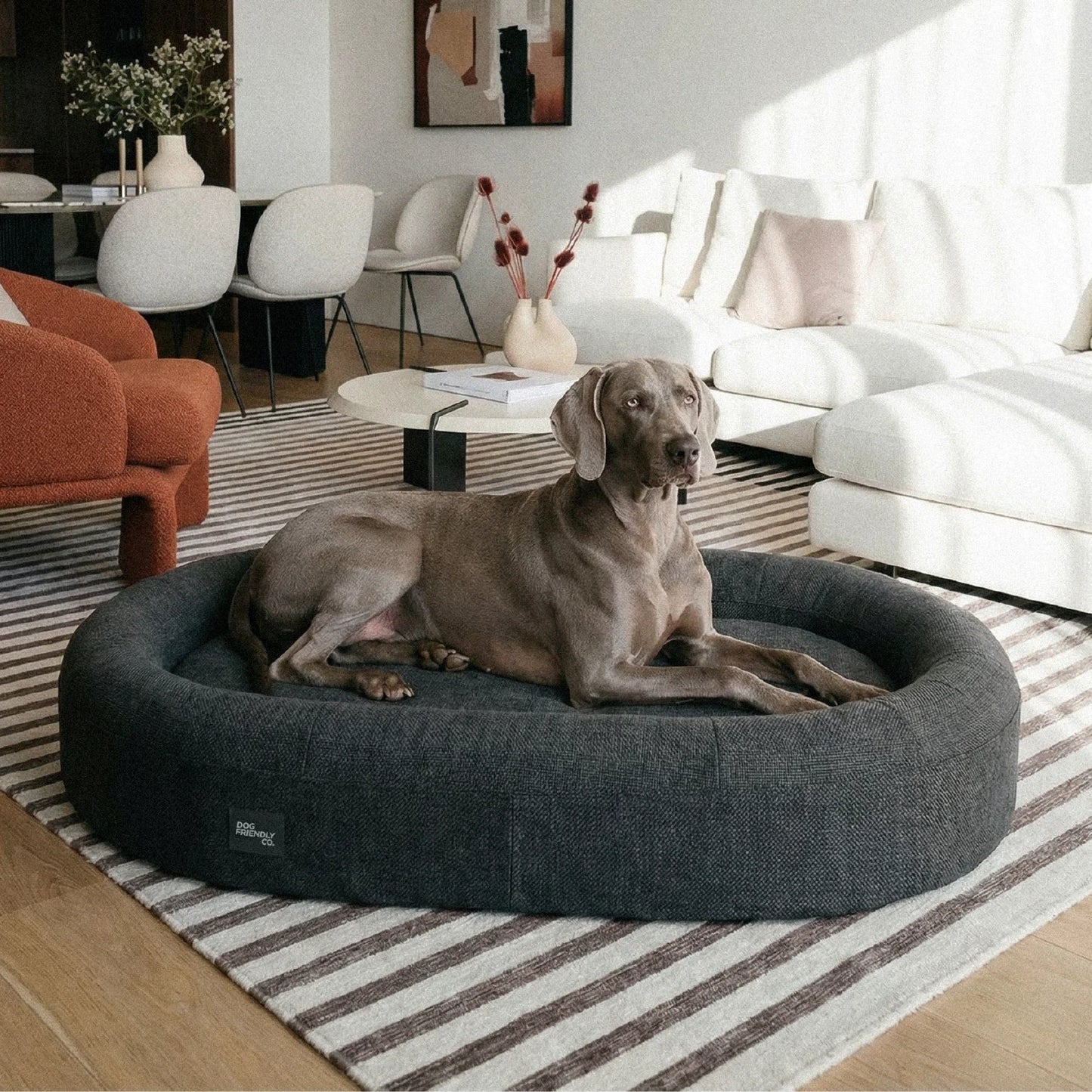 Chill Pill Memory Foam Hundebett - Anthrazit (Klein)