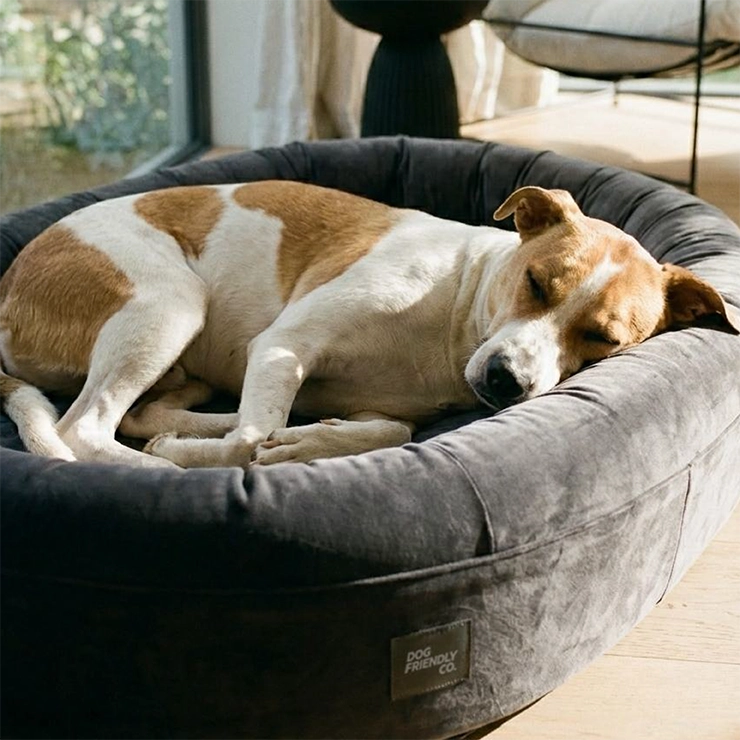 Chill Pill Memory Foam Hundebett - Anthrazit (Klein)