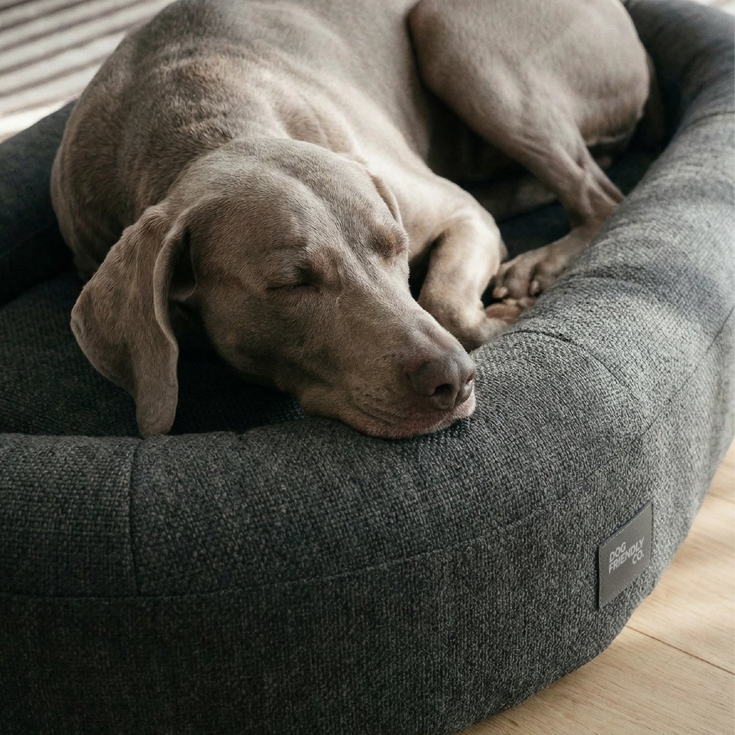 Chill Pill Memory Foam Hundebett - Anthrazit (Klein)