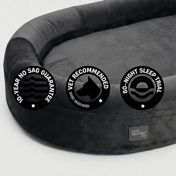 Chill Pill Memory Foam Hundebett - Anthrazit (Klein)