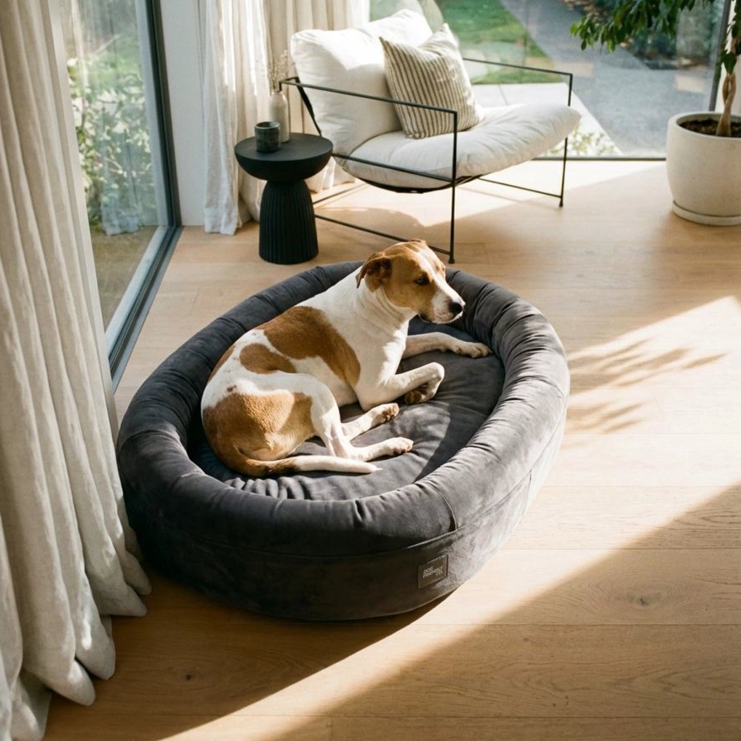 Chill Pill Velvet Easy Fit Cover - Anthrazit