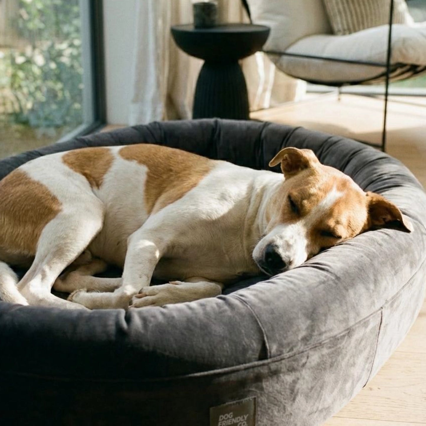 Chill Pill Velvet Easy Fit Cover - Anthrazit