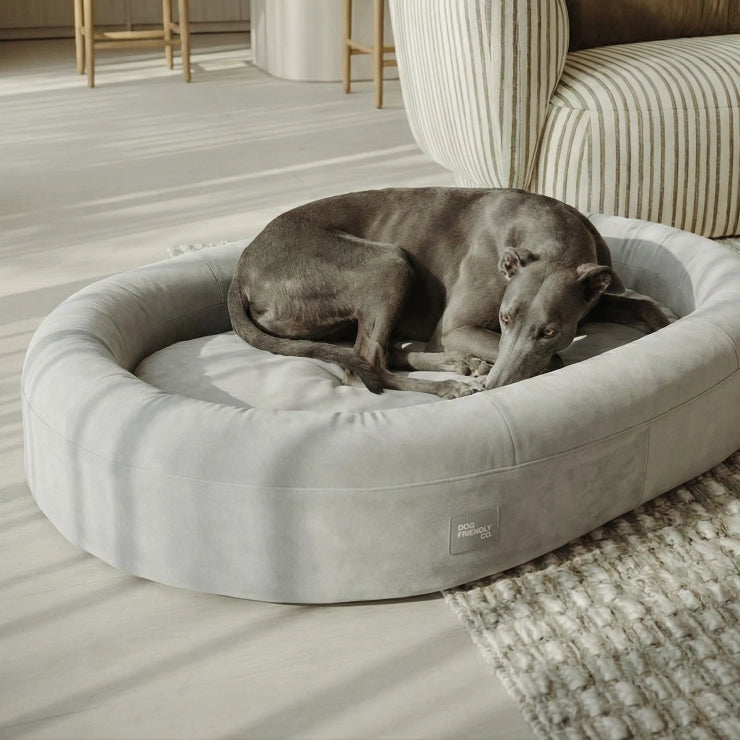 Chill Pill Velvet Easy Fit Cover