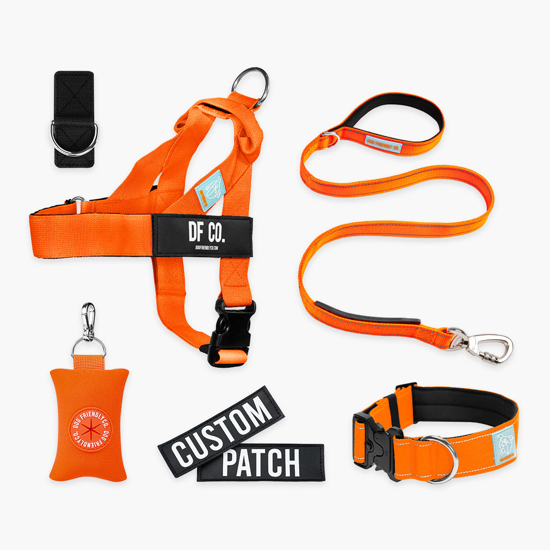 <h2>Spaziergangsbedarf</h2>