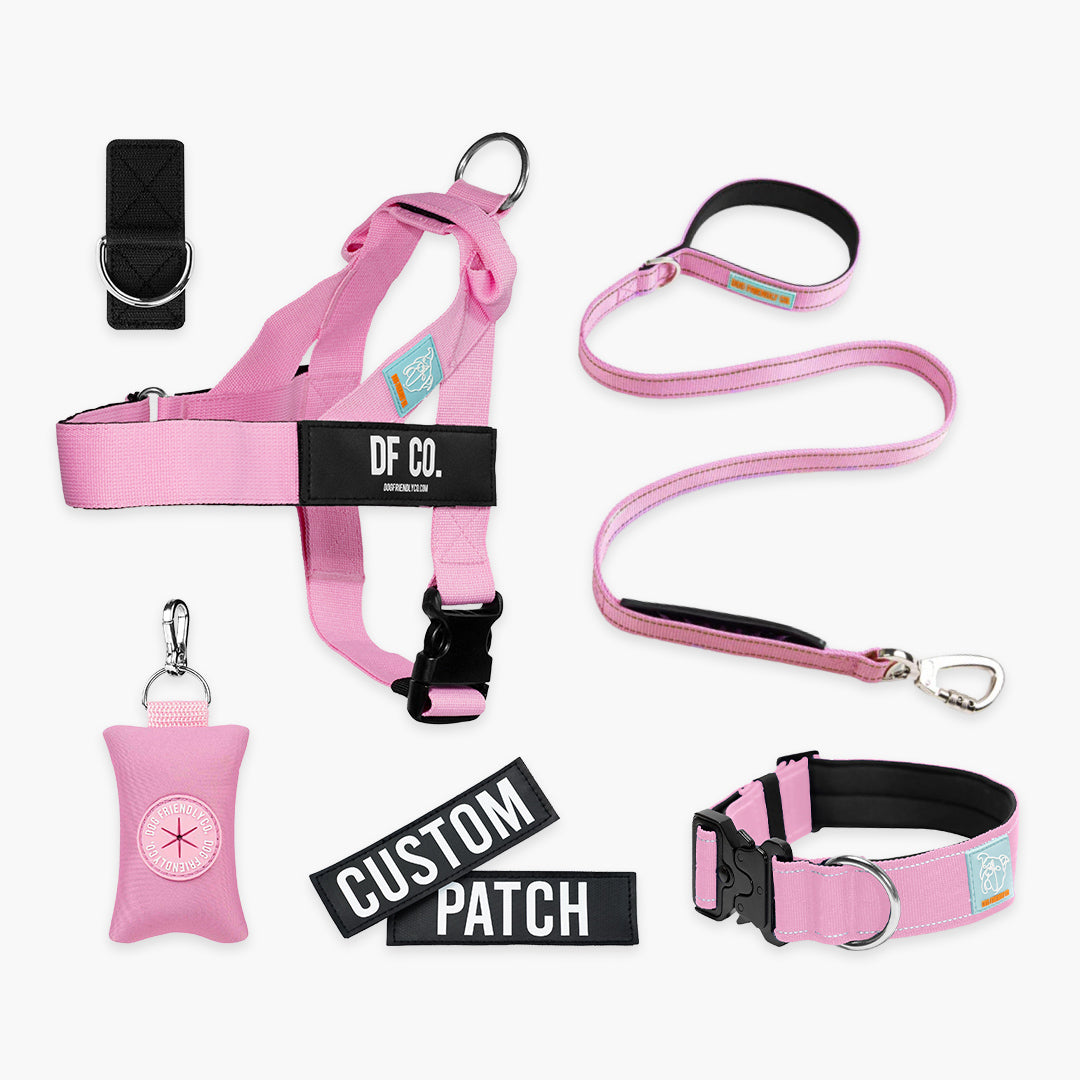 <h2>Spaziergangsbedarf</h2>