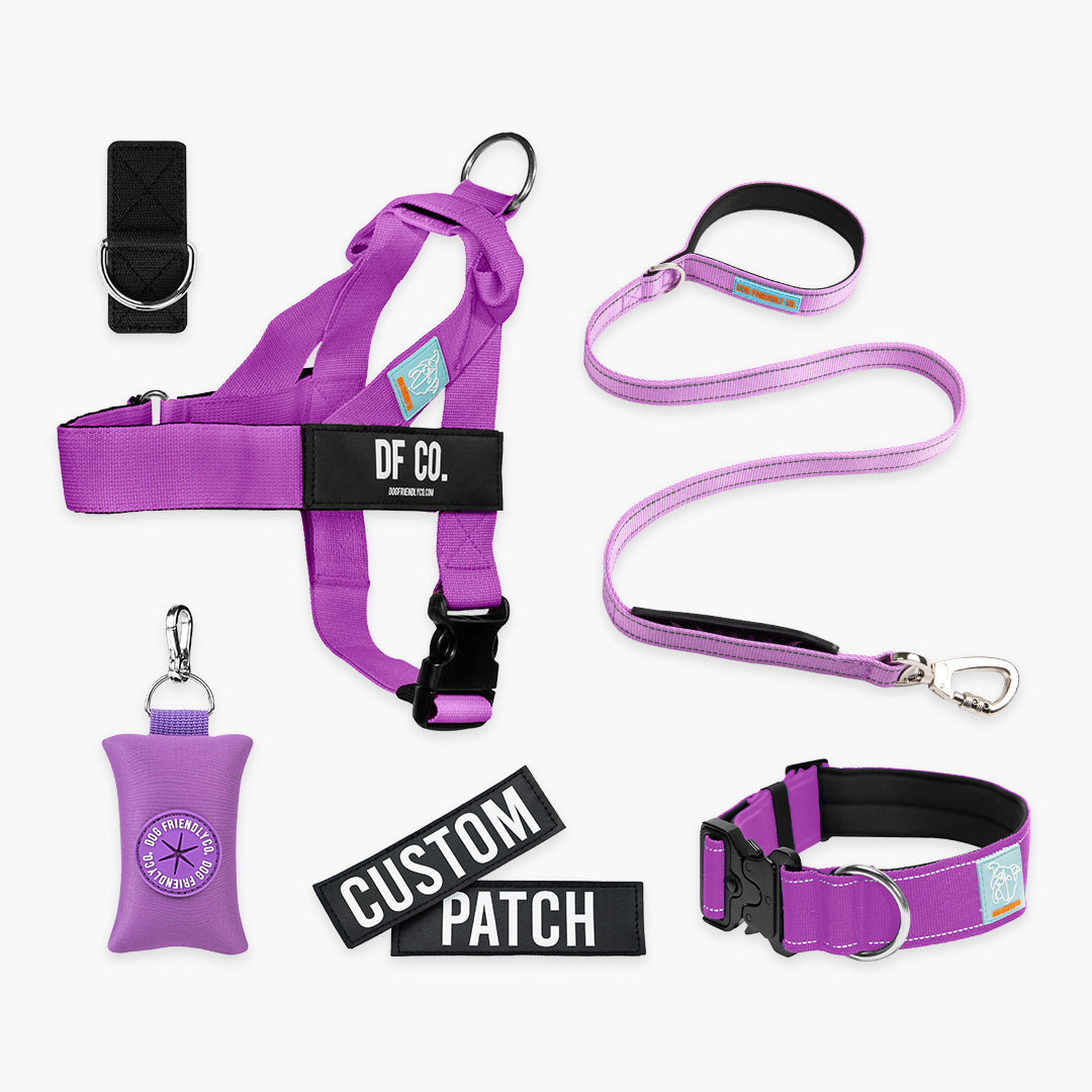 <h2>Spaziergangsbedarf</h2>