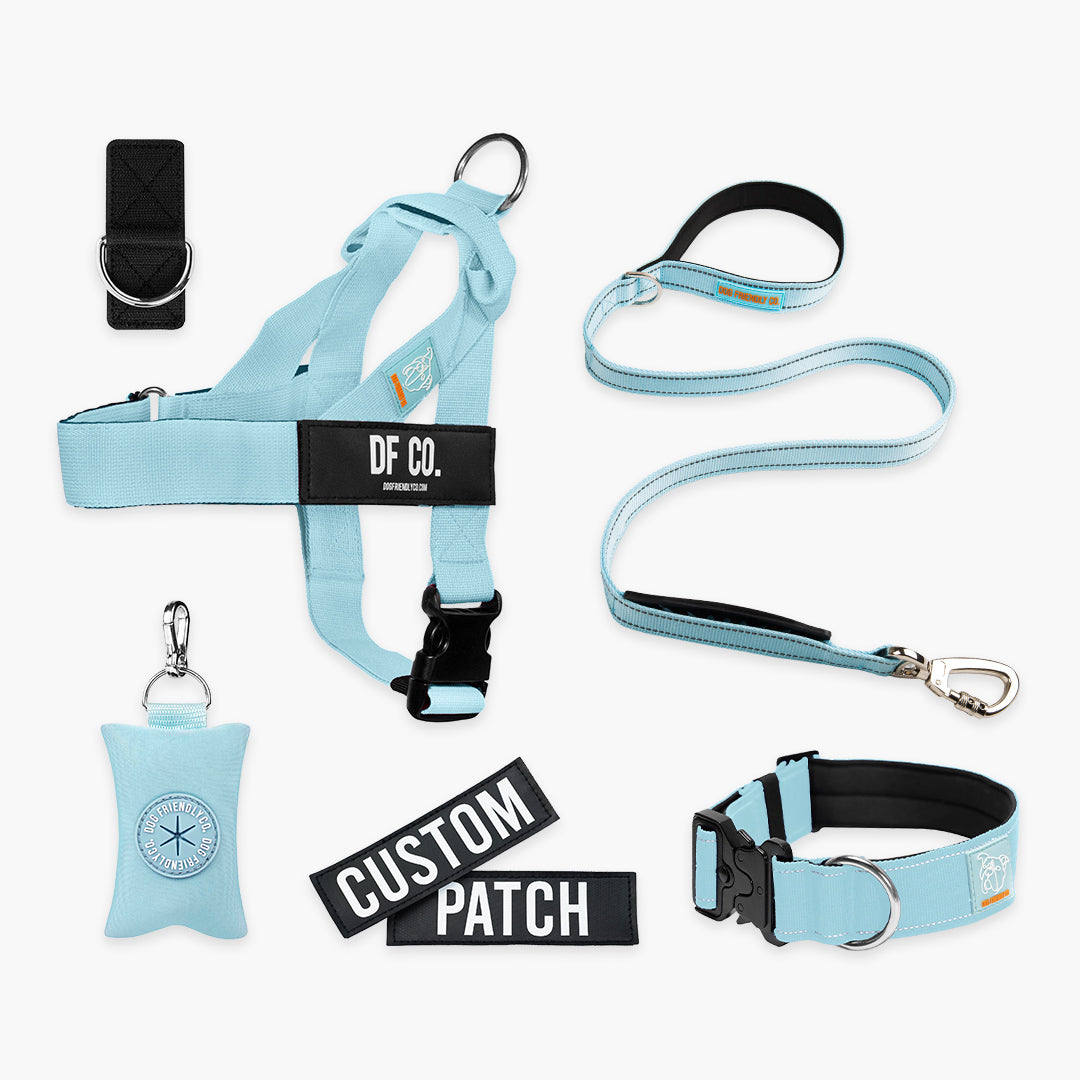 <h2>Spaziergangsbedarf</h2>