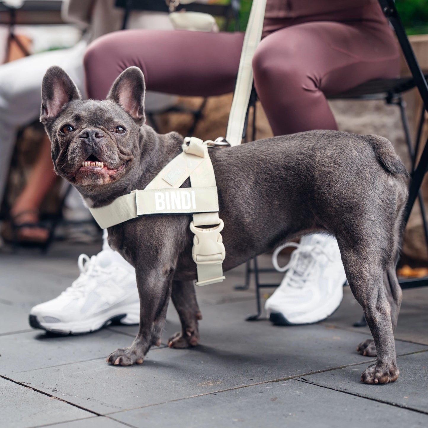 Ultimatives Anti-Zug Bundle - Marineblau