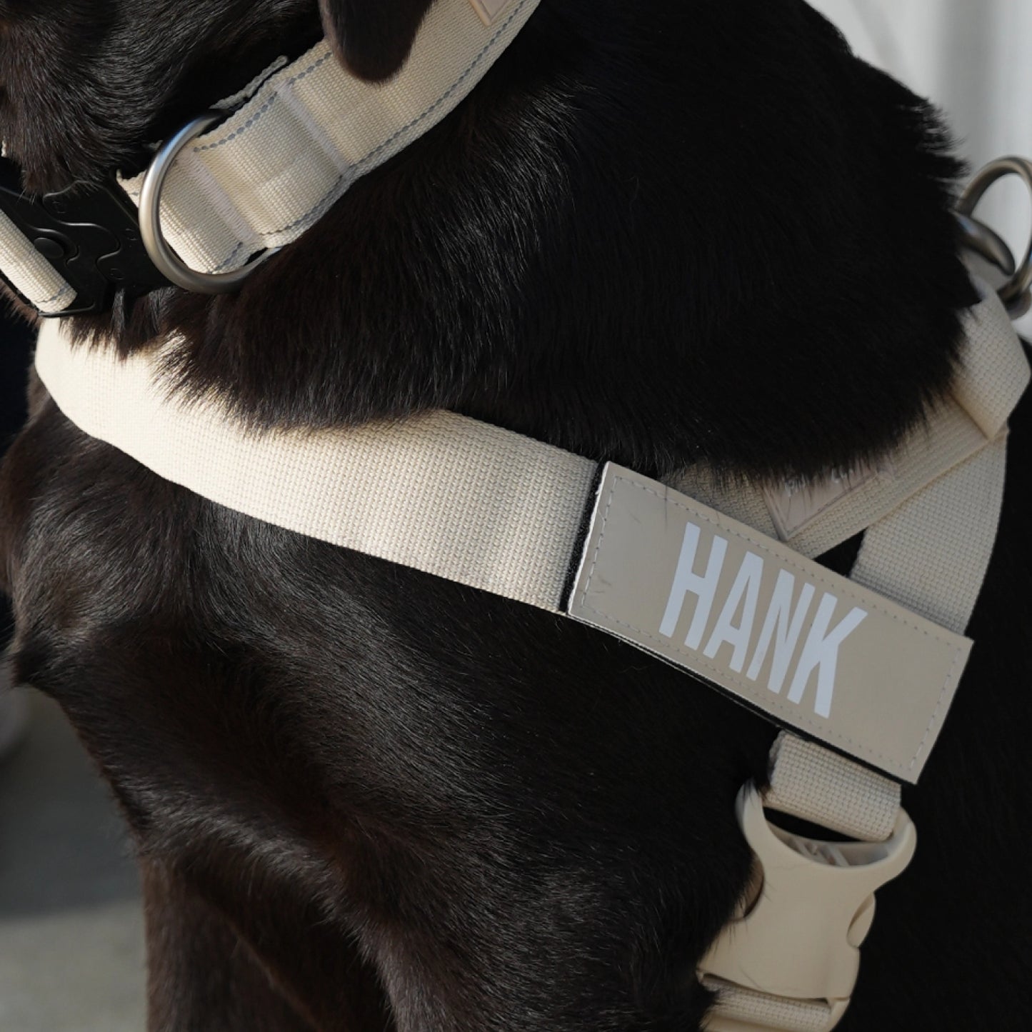 Ultimatives Anti-Zug Bundle - Marineblau