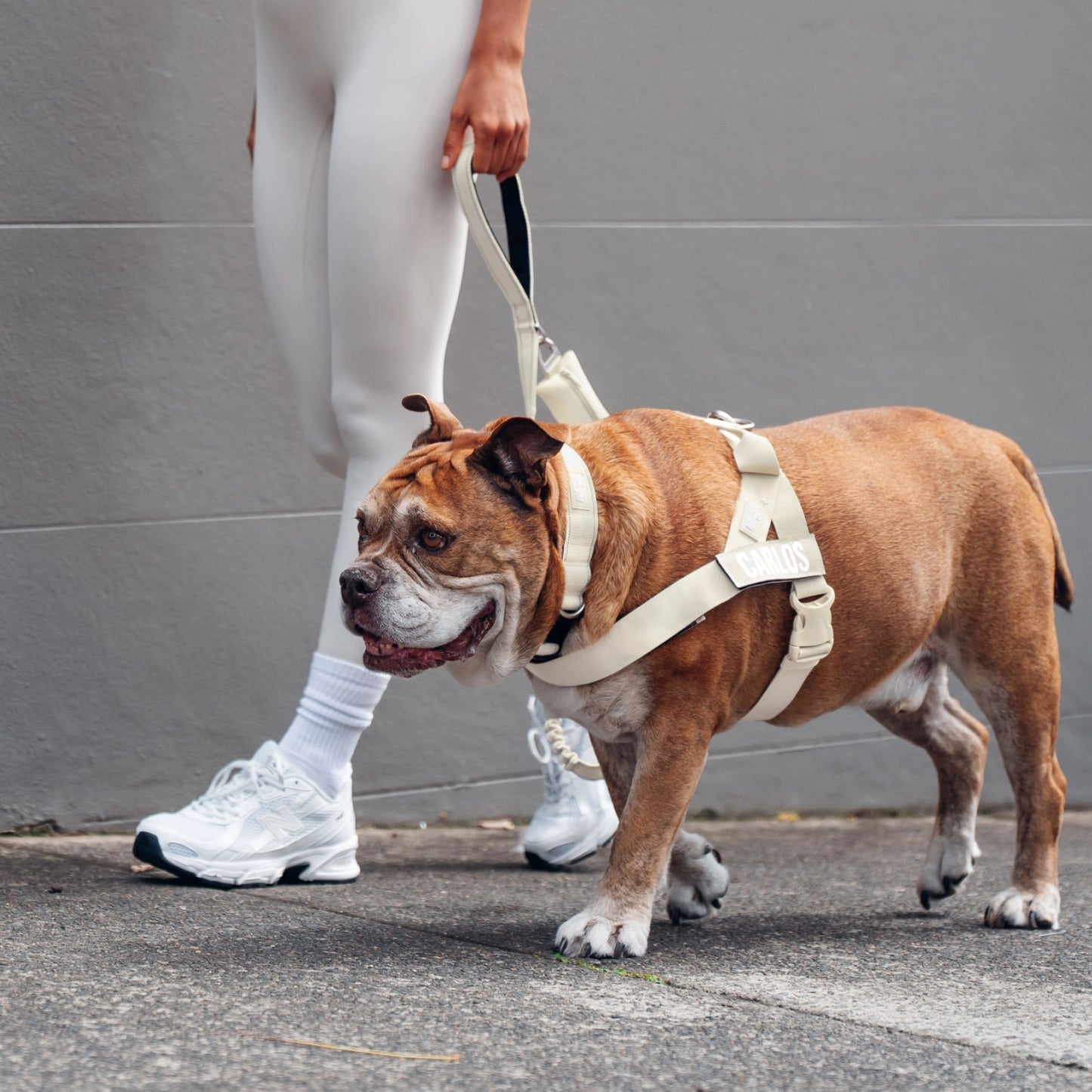 Ultimatives Anti-Zug Bundle - Marineblau